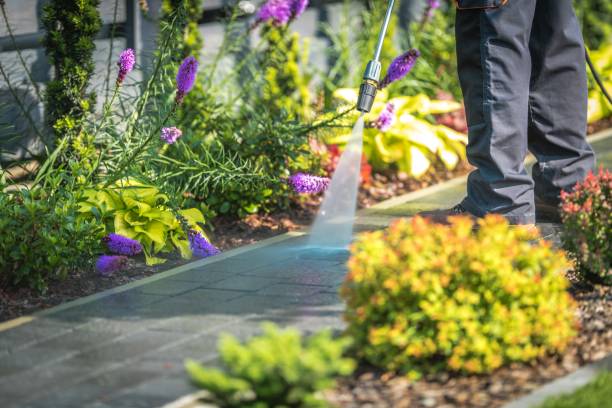 Best Patio and Deck Pressure Washing  in Lincoln, MO